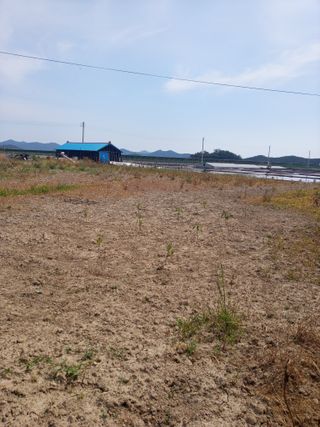 이찬웅님의 고추 · 영농일지 작성글 사진