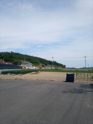 이찬웅님의 고추 · 영농일지 작성글 사진