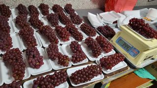 진잠농원님의 6월 내 작물 자랑하기🌱 · 참여글 작성글 사진