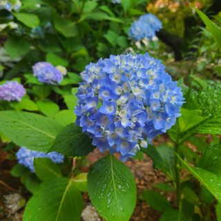 knlee님의 자유주제 · 자유게시판 작성글 사진