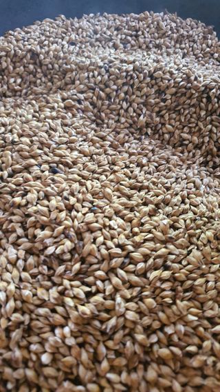 황의성님의 자유주제 · 자유게시판 작성글 사진