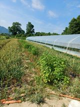 팜모닝 자유주제·자유게시판 게시글 이미지