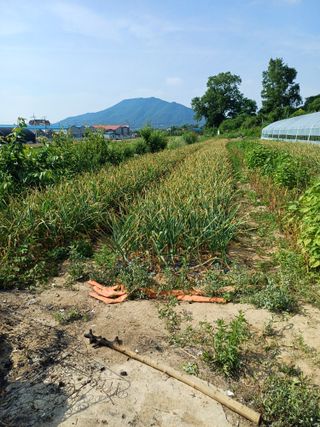 해아래님의 자유주제 · 자유게시판 작성글 사진