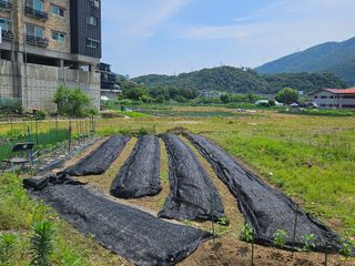 영진농장님의 자유주제 · 사진전 작성글 사진