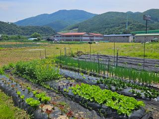영진농장님의 자유주제 · 사진전 작성글 사진