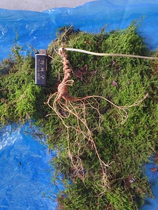 김홍열님의 자유주제 · 자유게시판 작성글 사진