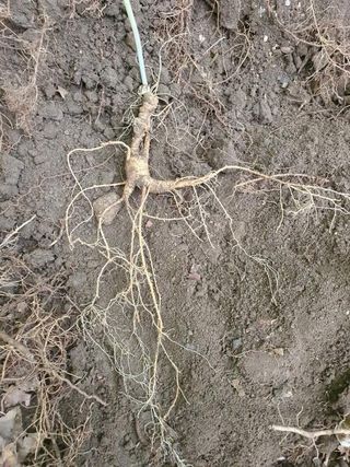 김홍열님의 자유주제 · 자유게시판 작성글 사진