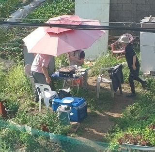 (팽나무*공주)님의 자유주제 · 자유게시판 작성글 사진