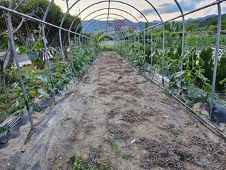 남옥선님의 자유주제 · 사진전 작성글 사진