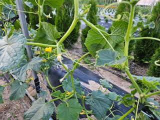 남옥선님의 자유주제 · 사진전 작성글 사진