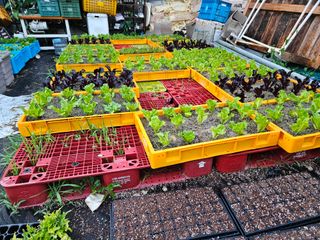 남옥선님의 자유주제 · 사진전 작성글 사진