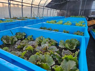 남옥선님의 자유주제 · 사진전 작성글 사진