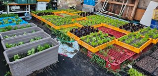 남옥선님의 자유주제 · 사진전 작성글 사진