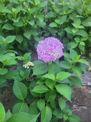 윤석돈님의 자유주제 · 칭찬해요 작성글 사진