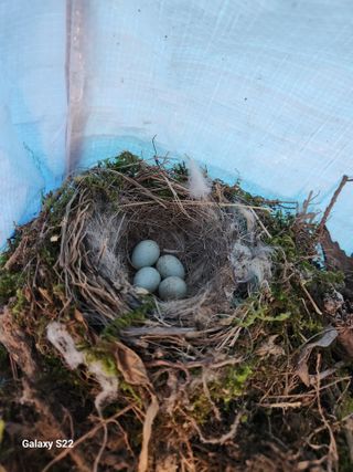 kis님의 자유주제 · 자유게시판 작성글 사진