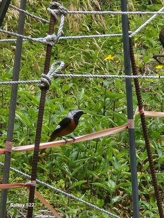 kis님의 자유주제 · 자유게시판 작성글 사진