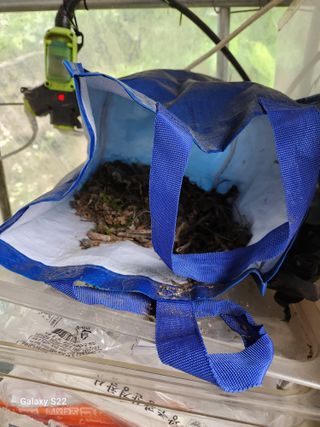 kis님의 자유주제 · 자유게시판 작성글 사진