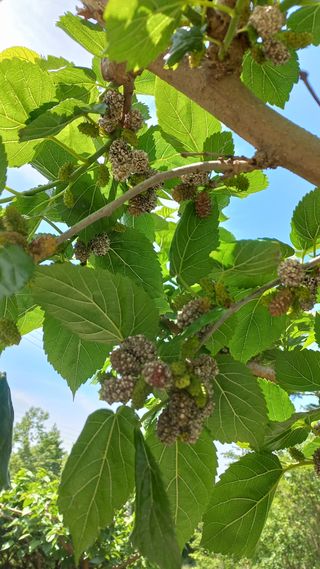 함선명님의 자유주제 · 사진전 작성글 사진