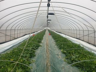 꿀참외님의 작성글 사진