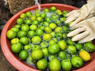 다야님의 자유주제 · 자유게시판 작성글 사진