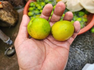 다야님의 자유주제 · 자유게시판 작성글 사진