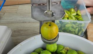 다야님의 자유주제 · 자유게시판 작성글 사진