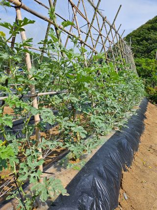 osm님의 자유주제 · 자유게시판 작성글 사진