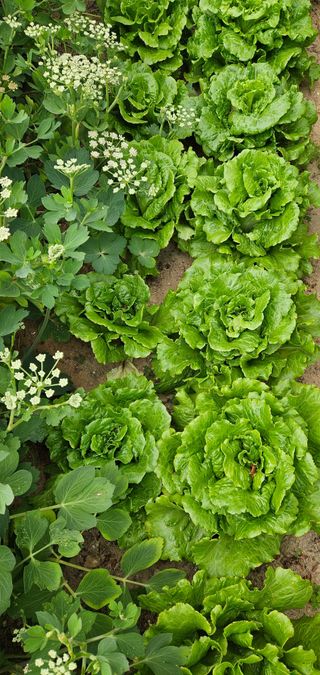 osm님의 자유주제 · 자유게시판 작성글 사진