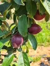 팜모닝 자유주제·사진전 게시글 이미지