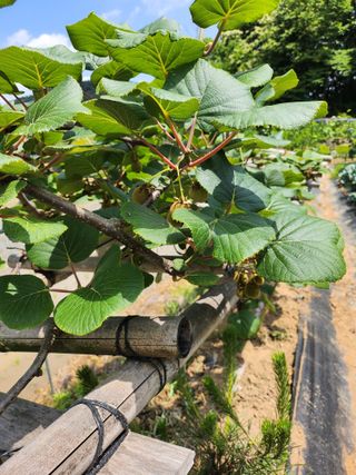이우섭님의 자유주제 · 사진전 작성글 사진