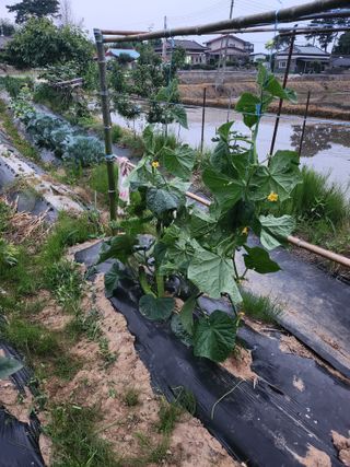 이우섭님의 자유주제 · 사진전 작성글 사진