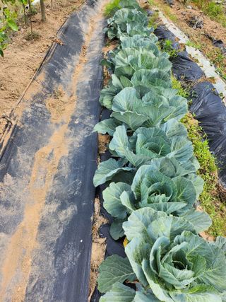 이우섭님의 자유주제 · 사진전 작성글 사진