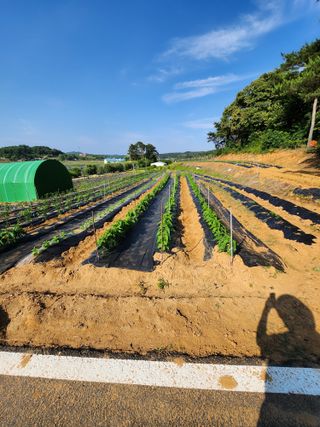 이우섭님의 자유주제 · 사진전 작성글 사진
