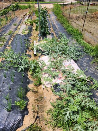이우섭님의 자유주제 · 사진전 작성글 사진