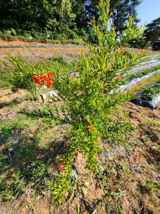 이우섭님의 자유주제 · 사진전 작성글 사진