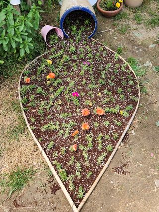 영동포도님의 포도 · 영농일지 작성글 사진