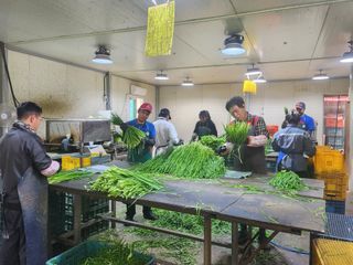조일현님의 기타작물 · 영농일지 작성글 사진