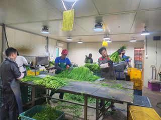 조일현님의 기타작물 · 영농일지 작성글 사진