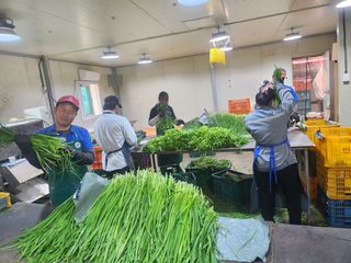 조일현님의 기타작물 · 영농일지 작성글 사진