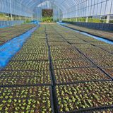 팜모닝 자유주제·자유게시판 게시글 이미지