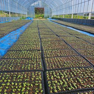 이윤원님의 자유주제 · 자유게시판 작성글 사진