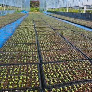 이윤원님의 자유주제 · 자유게시판 작성글 사진