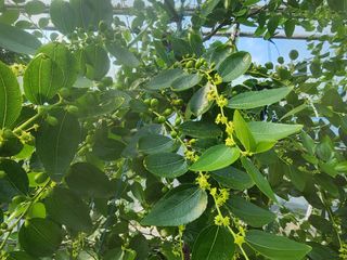 대추 9544님의 자유주제 · 자유게시판 작성글 사진