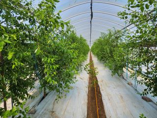 대추 9544님의 자유주제 · 자유게시판 작성글 사진