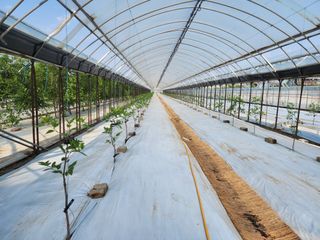 대추 9544님의 자유주제 · 자유게시판 작성글 사진