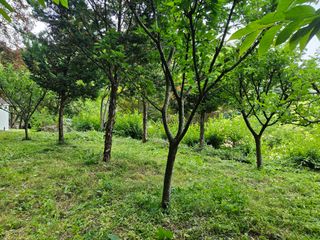 다범님의 기타작물 · 영농일지 작성글 사진