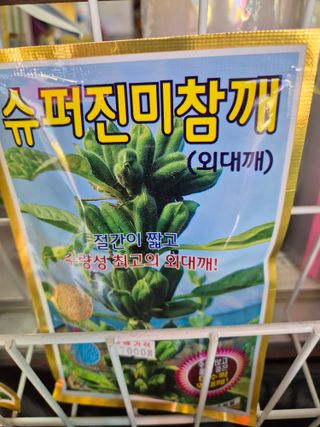 김연숙님의 6월 내 작물 자랑하기🌱 · 참여글 작성글 사진