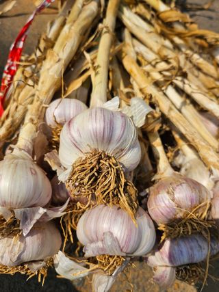 해풍님의 작성글 사진