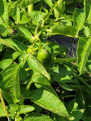 김금자님의 자유주제 · 자유게시판 작성글 사진