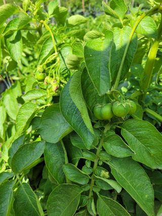 김금자님의 자유주제 · 자유게시판 작성글 사진